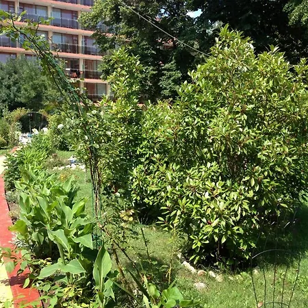 朱庇特酒店 酒店 阳光海滩